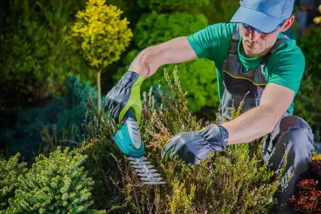 landscaping services South Range